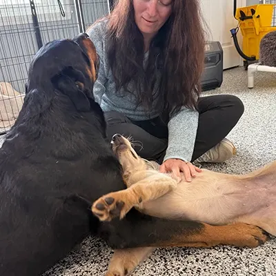 Dog enjoying cuddles