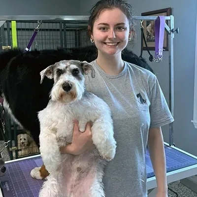 Groomer working with a dog